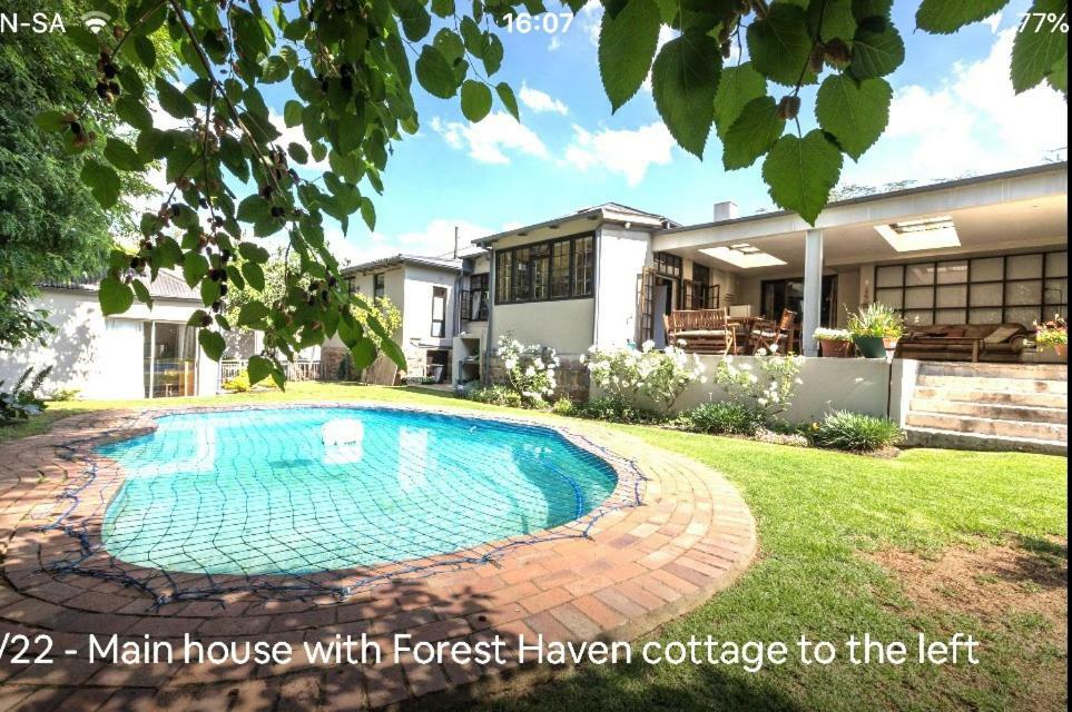 Forest Haven Johannesburg Kültér fotó